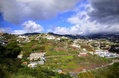 Funchal, madeira
