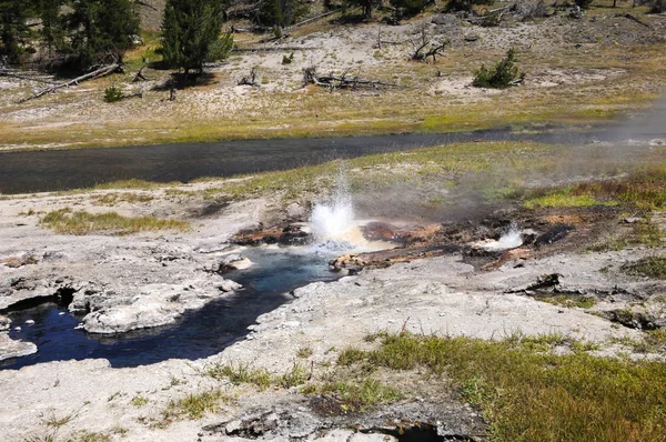 Junger hoffnungsvoller Geysir — Stockfoto