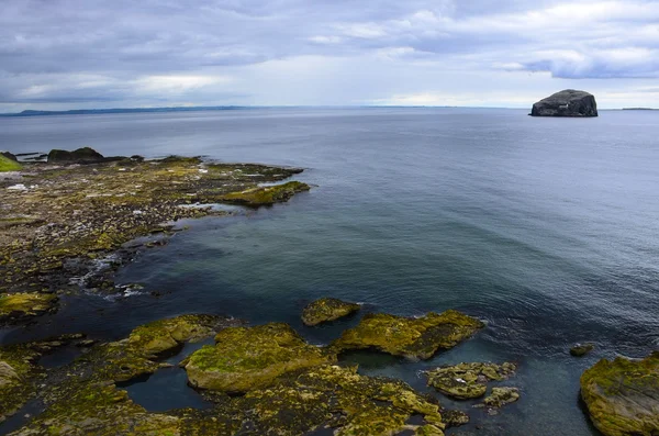 Bass Rock, Escocia — Foto de Stock