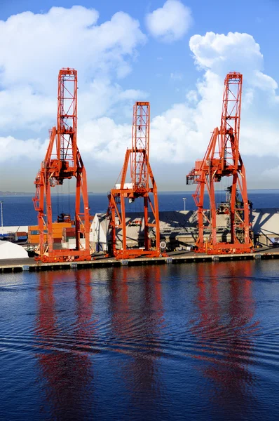 Shippig cranes — Stock Photo, Image