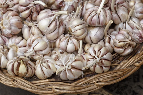 Knoflook in een mandje — Stockfoto