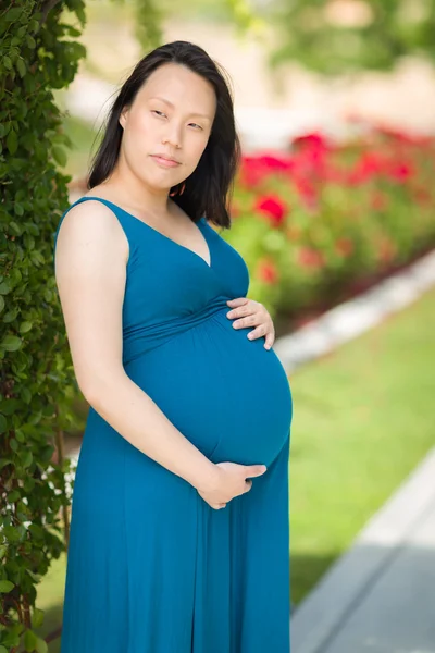 Young Pregnant Chinese Woman Portrait in Park — Stock Photo, Image