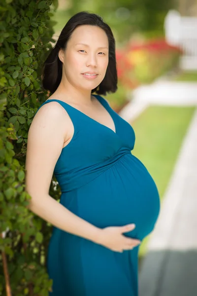 Młoda kobieta w ciąży chiński portret w parku — Zdjęcie stockowe