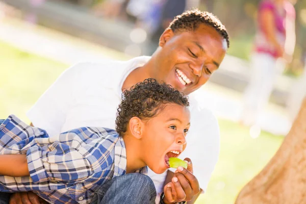 Afro Americano Pai Misto Raça Filho Comer Uma Maçã Parque — Fotografia de Stock