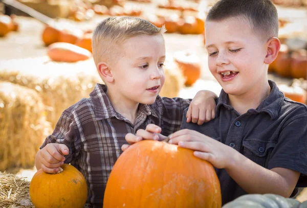 Två Pojkar Som Har Roligt Pumpa Patch Höstdag — Stockfoto