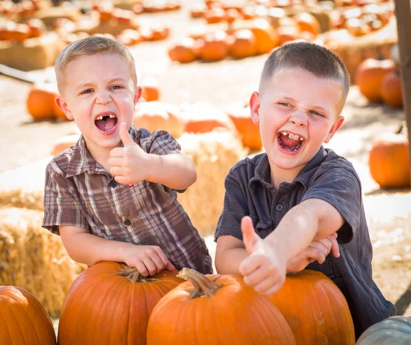 秋の日にカボチャのパッチを楽しんでいる2人の男の子 — ストック写真