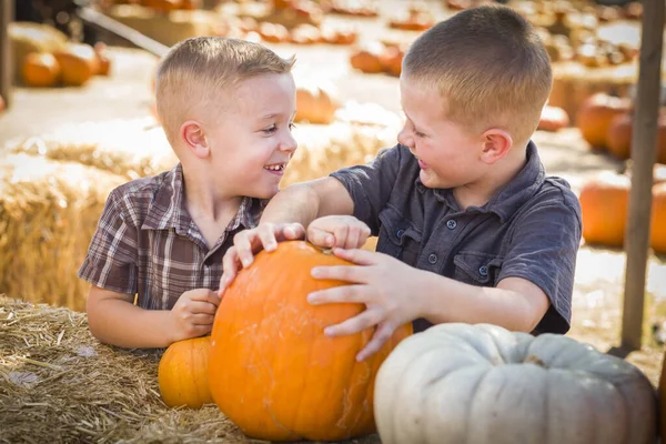 Två Pojkar Som Har Roligt Pumpa Patch Höstdag — Stockfoto