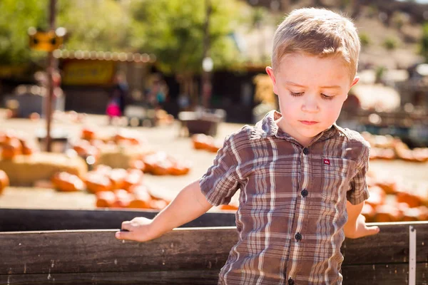 Adorable Little Boy Standing Old Wood Wagon Pumpkin Patch Rural — Stock Photo, Image