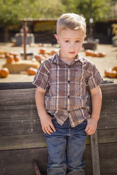Adorable Little Boy Standing Old Wood Wagon Pumpkin Patch Rural — Stock Photo, Image