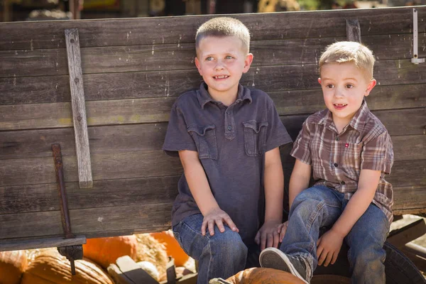 Dwóch Chłopców Bawiących Się Pumpkin Patch Jesienny Dzień — Zdjęcie stockowe