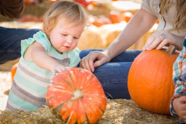 Sevimli Genç Aile, Balkabağı Tarlası 'nda Günün tadını çıkarıyor..
