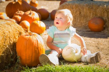 Balkabağı tarlasında kırsal bir çiftlikte eğlenen sevimli kız..