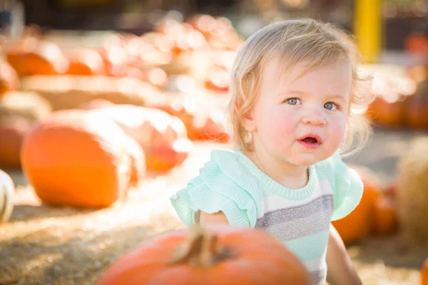 Adorable Baby Girl Having Fun Rustic Ranch Setting Pumpkin Patch — Stock Photo, Image