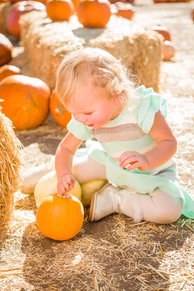 Adorable Baby Girl Having Fun Rustic Ranch Setting Pumpkin Patch — Stock Photo, Image