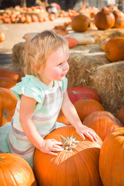 Adorable Baby Girl Having Fun Rustic Ranch Setting Pumpkin Patch — Stock Photo, Image