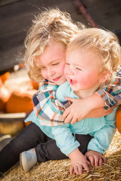 可爱的小男孩和他的小妹妹在南瓜园的乡村农场玩耍 — 图库照片