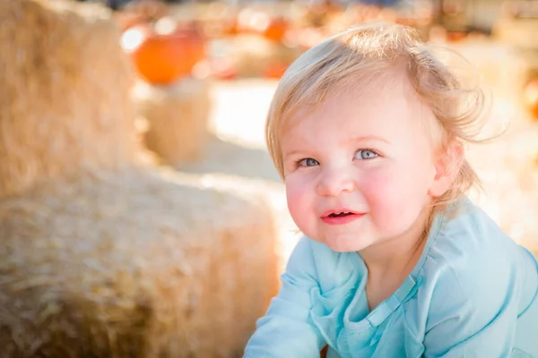 Adorable Baby Girl Having Fun Rustic Ranch Setting Pumpkin Patch — Stock Photo, Image