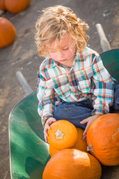 Little Boy Zit Een Kruiwagen Naast Zijn Pompoenen Een Rustieke — Stockfoto