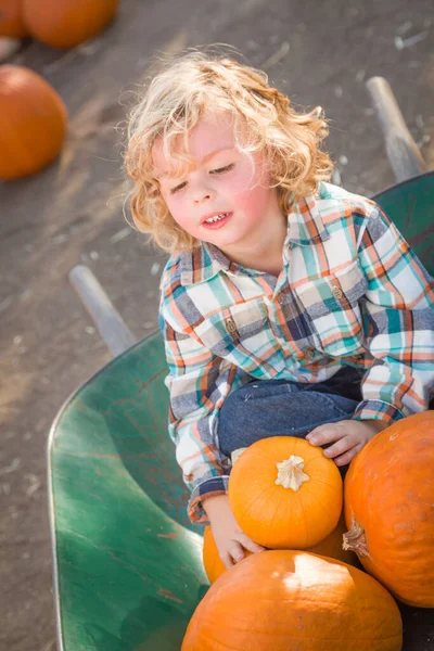 Little Boy Sitting Wheelbarrow Next His Pumpkins Rustic Ranch Setting — Stock Photo, Image