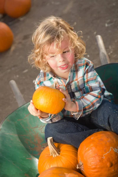 Little Boy Sitting Wheelbarrow Next His Pumpkins Rustic Ranch Setting — Stock Photo, Image