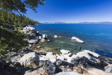 lake Tahoe güzel kıyı