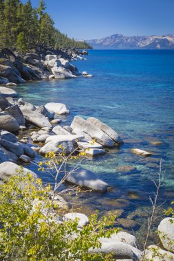 lake Tahoe güzel kıyı