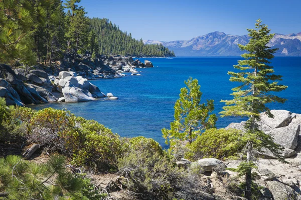 Όμορφη ακτογραμμή της λίμνης tahoe — Φωτογραφία Αρχείου