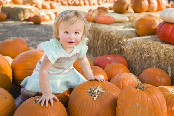 Adorable Baby Girl Holding a Pumpkin at the Pumpkin Patch — Stock Photo, Image