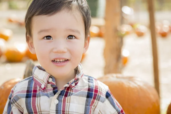 Blandras ung pojke att ha roligt på Pumpkin Patch — Stockfoto