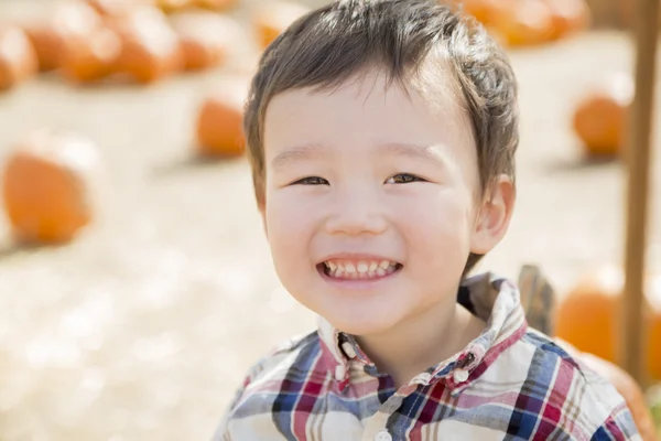 Misto razza giovane ragazzo having divertimento a il zucca patch — Foto Stock