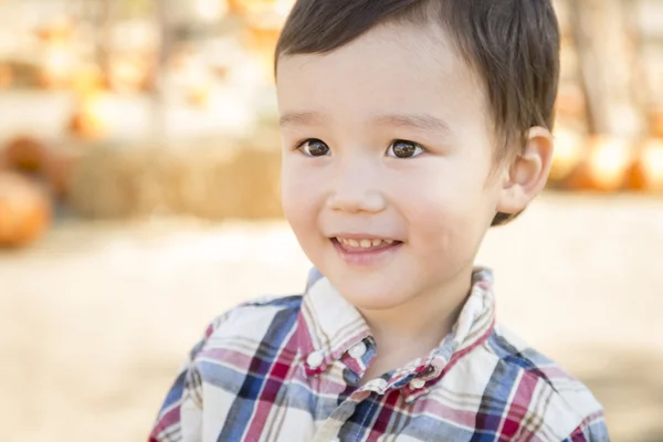 Blandras ung pojke att ha roligt på Pumpkin Patch — Stockfoto