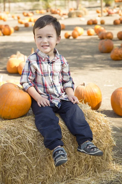 Mixed Race Young Boy Having Fun at the Pumpkin Patch — Stock Photo, Image