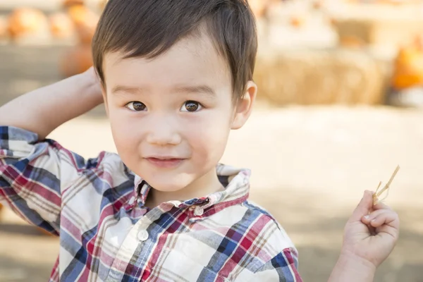 Gemengd ras jongen plezier op de pompoen Patch — Stockfoto