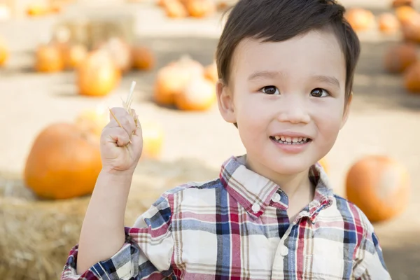 Misto razza giovane ragazzo having divertimento a il zucca patch — Foto Stock