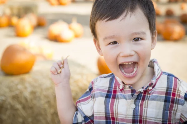 Gemengd ras jongen plezier op de pompoen Patch — Stockfoto