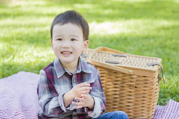Ung blandingsrase-gutt som sitter i en park nær piknik-kurv – stockfoto
