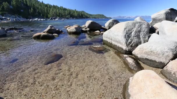Bela costa de água clara do Lago Tahoe com áudio natural no fundo — Vídeo de Stock