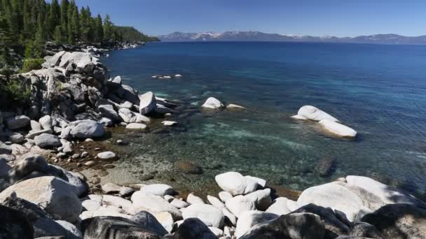 Vackra klart vatten strandlinjen av Lake Tahoe med naturliga ljud i bakgrunden — Stockvideo