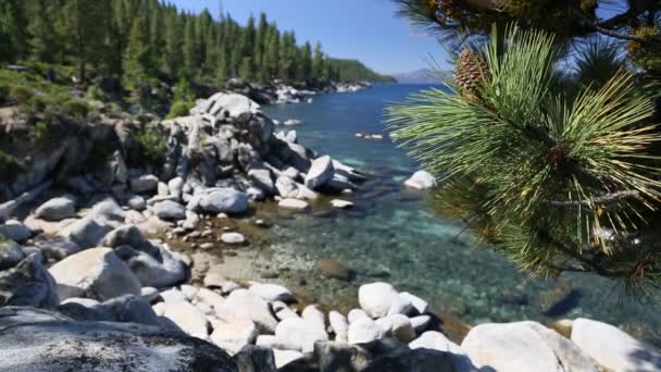 Wunderschönes klares Wasser am Ufer des Tahoe-Sees mit natürlichem Ton im Hintergrund — Stockvideo