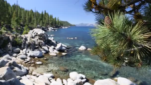 Belle rive d'eau claire du lac Tahoe avec audio naturel en arrière-plan — Video