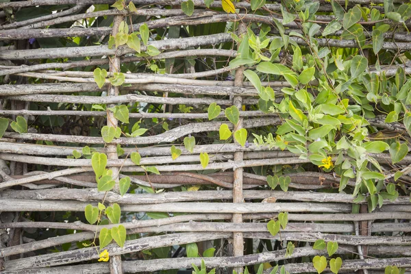Resumen de la cerca decorativa tejida del trabajo de la paja de la rama —  Fotos de Stock