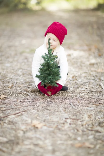 Menina em luvas vermelhas e boné perto de pequena árvore de Natal — Fotografia de Stock