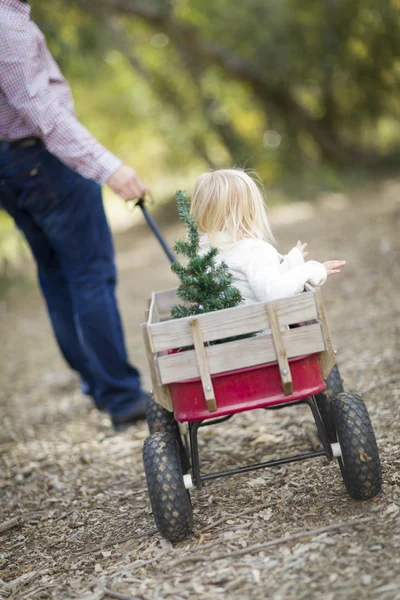 Pai puxa bebê menina no vagão com árvore de Natal — Fotografia de Stock