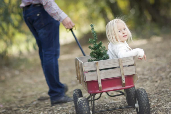 Père tire bébé fille dans le wagon avec arbre de Noël — Photo