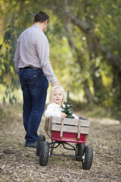 Padre tira de la niña en vagón con árbol de Navidad —  Fotos de Stock