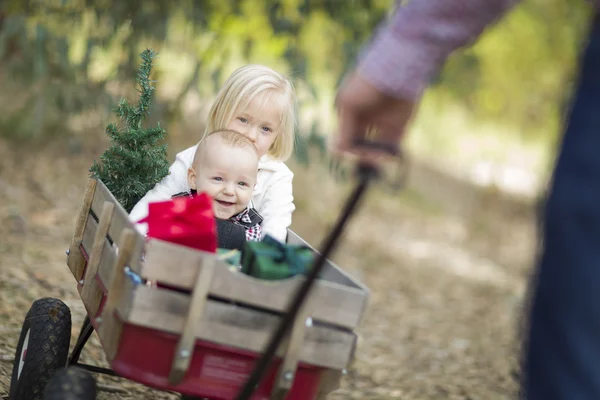 Geschwisterchen in Planwagen mit Weihnachtsbaum gezogen — Stockfoto