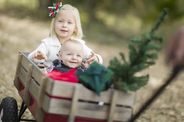 Irmão bebê e irmã puxado em vagão com árvore de Natal — Fotografia de Stock