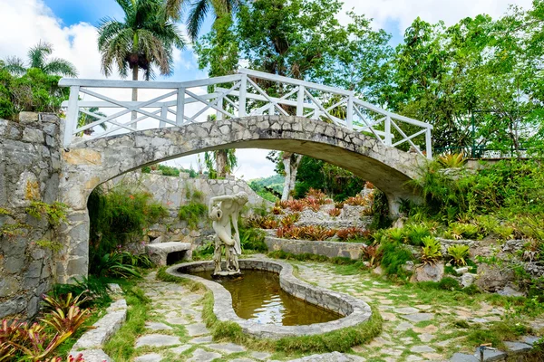 Jardin botanique de l'orchidée de Soroa à Cuba — Photo