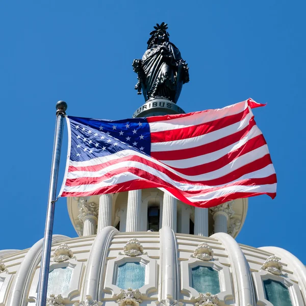 中纸在国会大厦前的美国国旗波 — 图库照片