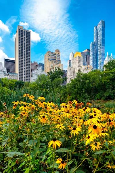 Virágok és a Central Park, New York City felhőkarcoló — Stock Fotó